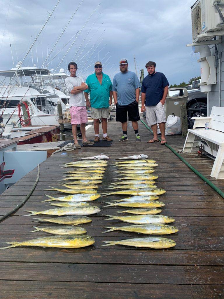 Fishing Reports Pirate's Cove Marina