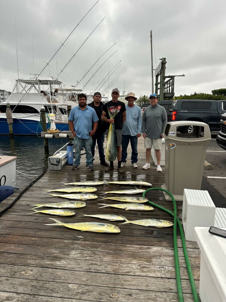 Sushi or Tacos? - Pirate's Cove Marina