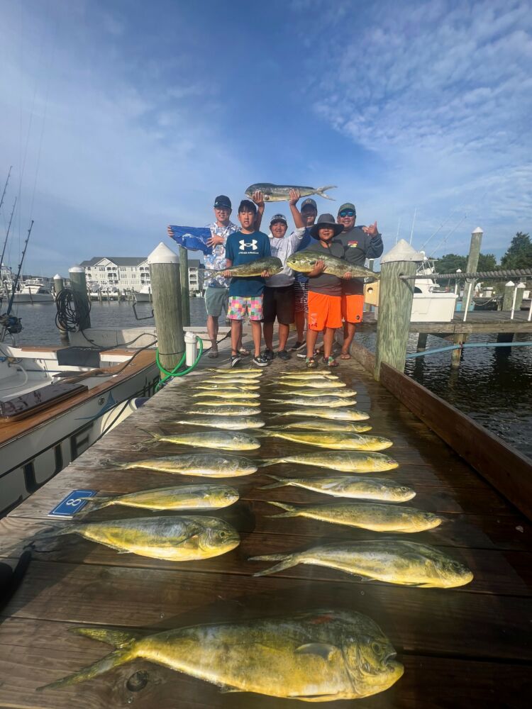 marina yacht fishing